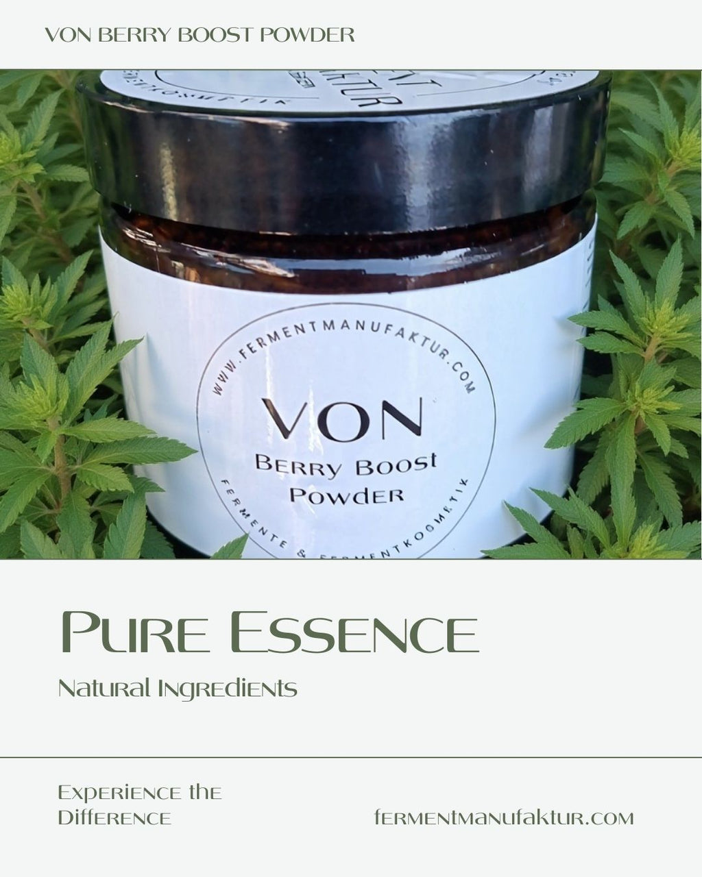VON Berry Boost Powder- fermentierte Waldbeeren und Kräuter in Pulverform