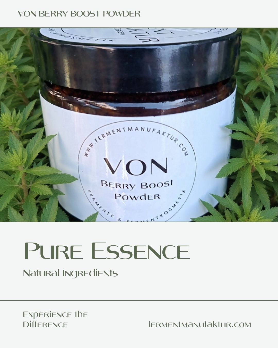 VON Berry Boost Powder- fermentierte Waldbeeren und Kräuter in Pulverform