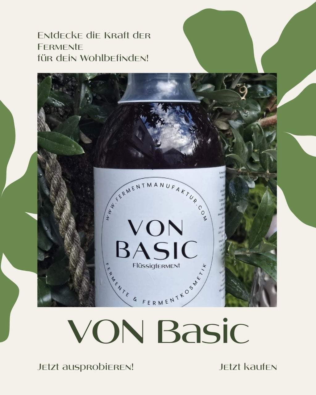 VON Basic- unser Einsteigerferment zum Testen